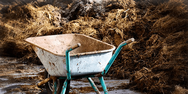 スカトロプレイのイメージ 肥溜めと掃除用具